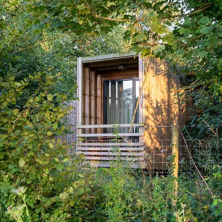 Forest Edge Hideaway *